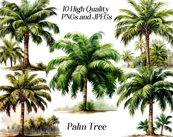 Watercolor Palm Tree Clipart: Tropical PNG & JPEG Files (Digital Download)