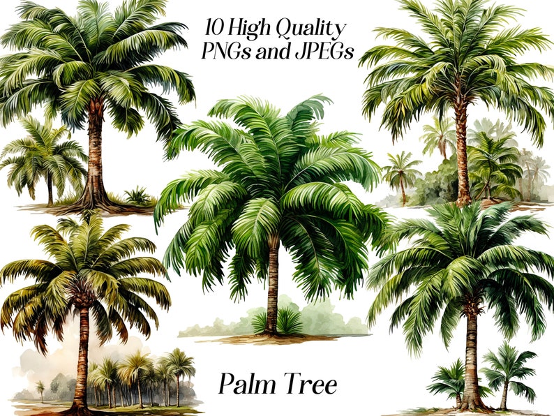 May include: A digital illustration of ten watercolor palm trees with green leaves and brown trunks. The trees are isolated on a white background. The text "10 High Quality PNGs and JPEGs" and "Palm Tree" are also included in the image.