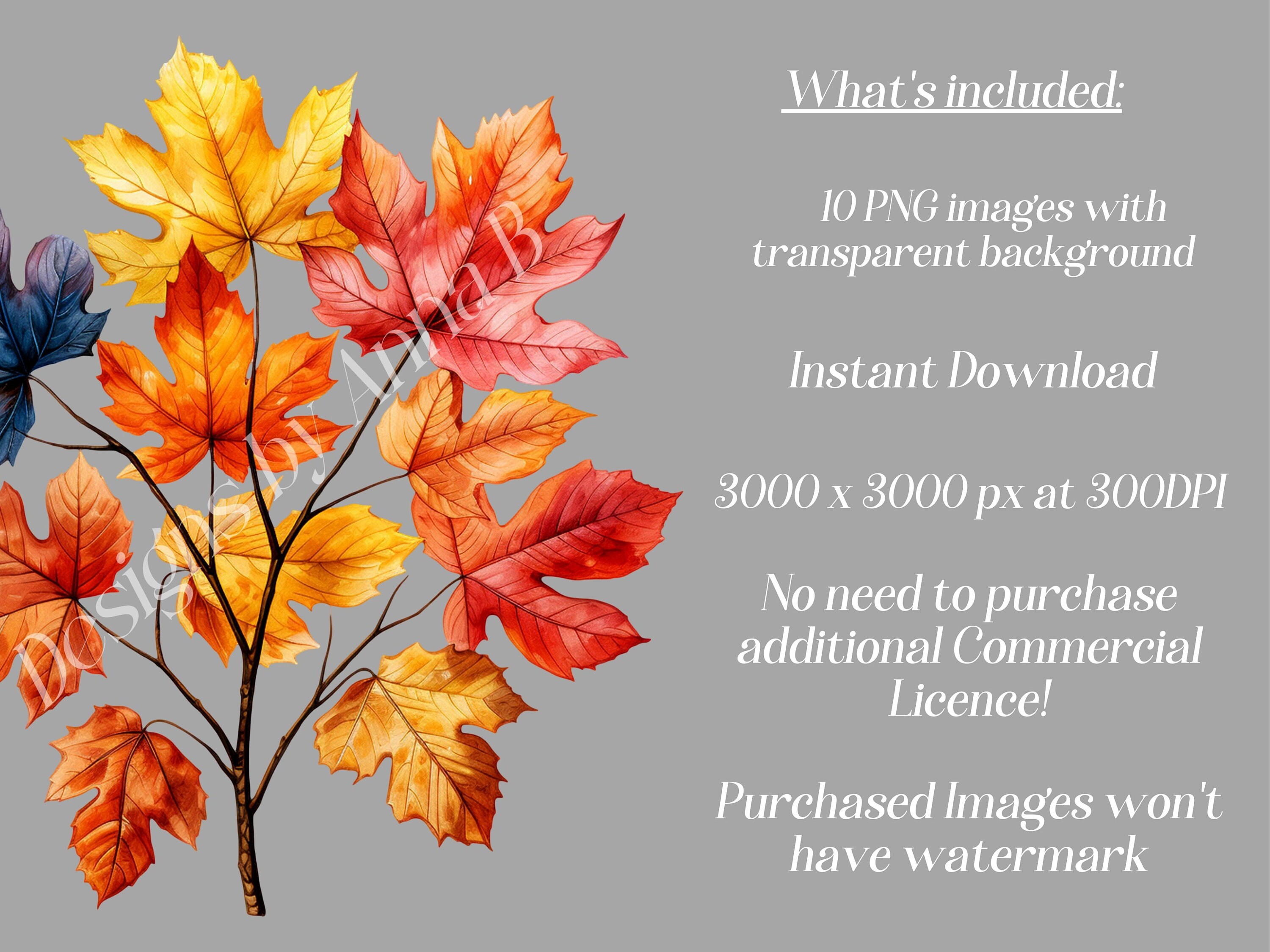 Autumn Leaves Clipart: Rustic Fall Foliage PNG (digital Download) - Etsy