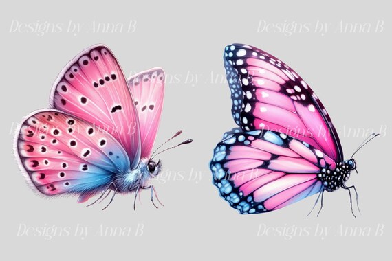 Watercolor Pink Butterfly Clipart: 10 PNG Illustrations (digital