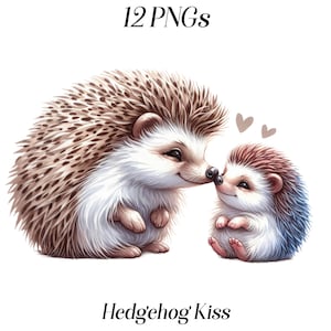 水彩ハリネズミのキスのクリップアート、12 個の PNG ファイル、2 匹のハリネズミ、母と子、母と子、愛のクリップアート、動物、印刷可能なグラフィック