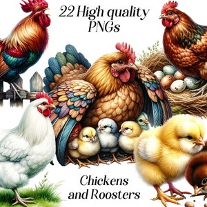 Clipart aquarelle de poulets et de coqs, 22 fichiers PNG de haute qualité, poussins, animaux de la ferme, clipart oiseau, graphiques imprimables