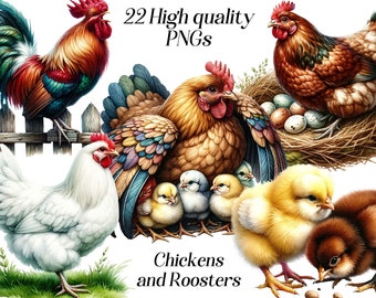 Watercolor Chickens and Roosters clipart, 22 high quality PNG files, baby chicks, farm animals, bird clip art, printable graphics