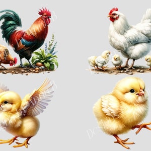 May include: A colorful illustration of a rooster and hen with chicks. The rooster is red, green, and yellow. The hen is brown. The chicks are yellow. The rooster and hen are standing on the ground with green plants behind them. The chicks are standing on the ground with rocks behind them.