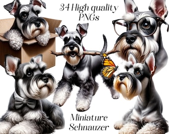 Watercolor Miniature Schnauzer Clipart: 34 PNG Files (Digital Download)