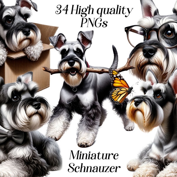 Watercolor Miniature Schnauzer clipart, 34 high quality PNG files, dog clipart, pet clipart,