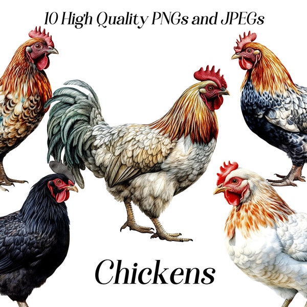 Watercolor chicken clipart, 10 High quality JPEG and PNG files, farm animals clip art, hen clipart, cottagecore, printable graphics