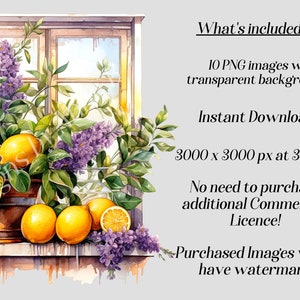 Może przedstawiać: Aquarela przedstawiająca parapet z doniczką z cytrynowym drzewem, cytrynami i kwiatami bzu. Tekst "What's included: 10 PNG images with transparent background Instant Download 3000 x 3000 px at 300DPI No need to purchase additional Commercial Licence! Purchased Images won't have watermark" jest widoczny po prawej stronie obrazu.