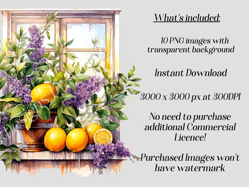 Może przedstawiać: Aquarela przedstawiająca parapet z doniczką z cytrynowym drzewem, cytrynami i kwiatami bzu. Tekst "What's included: 10 PNG images with transparent background Instant Download 3000 x 3000 px at 300DPI No need to purchase additional Commercial Licence! Purchased Images won't have watermark" jest widoczny po prawej stronie obrazu.