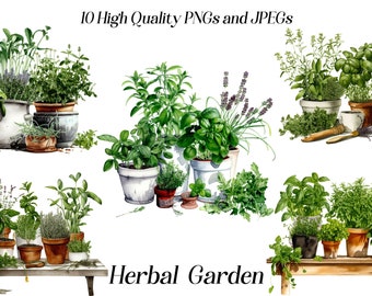 Watercolor Herb Garden Clipart: Rustic Culinary Herbs (PNG, JPEG)