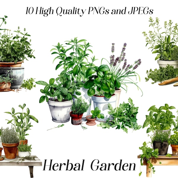 Watercolor herbal garden clipart, 10 high quality JPEG and PNG files, Herbs in Pots, Rustic cottagecore clipart, kitchen culinary herbs