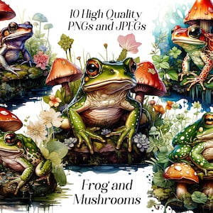 Clipart grenouille aquarelle, 10 fichiers JPEG et PNG de haute qualité, grenouille et champignons, clipart crapaud, animaux de la forêt, graphiques imprimables