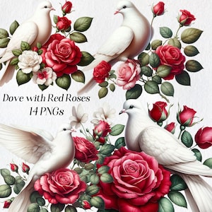 Imágenes prediseñadas de paloma, imágenes prediseñadas de paloma blanca, paloma de acuarela, paloma con flores, paloma floral, paloma con rosas, ilustración, gráficos digitales