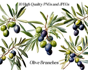 May include: Ten high-quality digital images of olive branches with green leaves and dark blue olives.  The images are perfect for adding a touch of nature to your designs.