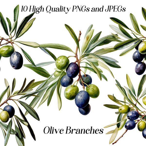Watercolor olive branches clipart, 10 high quality JPEG and PNG files, Olive tree clip art, greenery clipart, botanical illustration