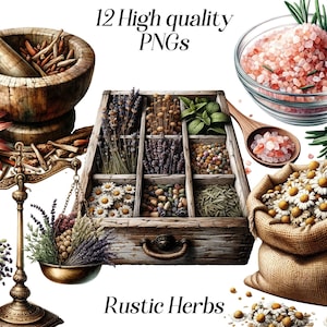 Imágenes prediseñadas de hierbas rústicas de acuarela, 12 PNG de alta calidad, ilustraciones de hierbas orgánicas medicinales, gráficos imprimibles, imágenes prediseñadas de alimentos