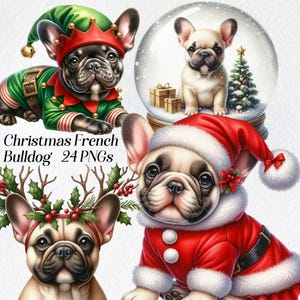 Clipart de buldogue francês de Natal, clipart de buldogue em aquarela, png, ilustração festiva de cachorro, feriados de inverno, gráficos de natal, imagens digitais