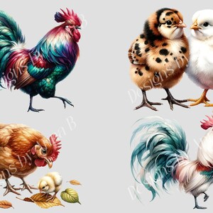 May include: Four colorful illustrations of chickens and roosters. A rooster with iridescent blue, green, and red feathers. A brown hen with a chick. A rooster with white and blue feathers. Two chicks, one with brown and white speckled feathers and one with white feathers.