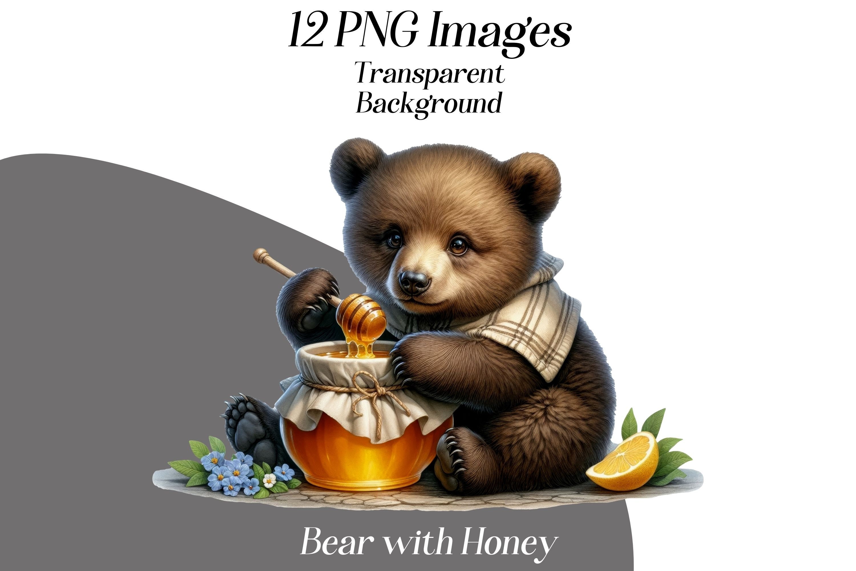 Bear With Honey Clipart: 12 PNG Forest Animal Images (digital Download ...