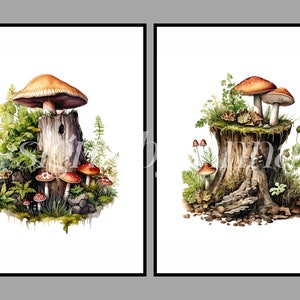 May include: Two watercolor paintings of mushrooms growing on tree stumps. The first painting features a large orange mushroom with smaller red and white mushrooms. The second painting features a cluster of red and white mushrooms.