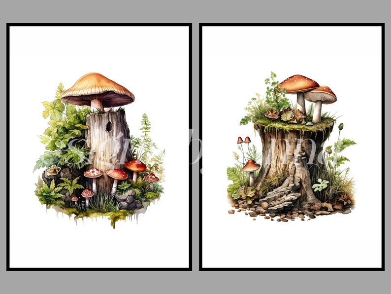 May include: Two watercolor paintings of mushrooms growing on tree stumps. The first painting features a large orange mushroom with smaller red and white mushrooms. The second painting features a cluster of red and white mushrooms.
