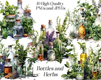 Watercolor Herbs and Bottles Clipart: Cottagecore Kitchen Art (Digital Download)