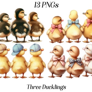 Clipart de três patinhos fofos em aquarela, 13 arquivos PNG, pato fofo, passarinhos, melhores amigos, trigêmeos, ilustração de pato, gráficos para impressão