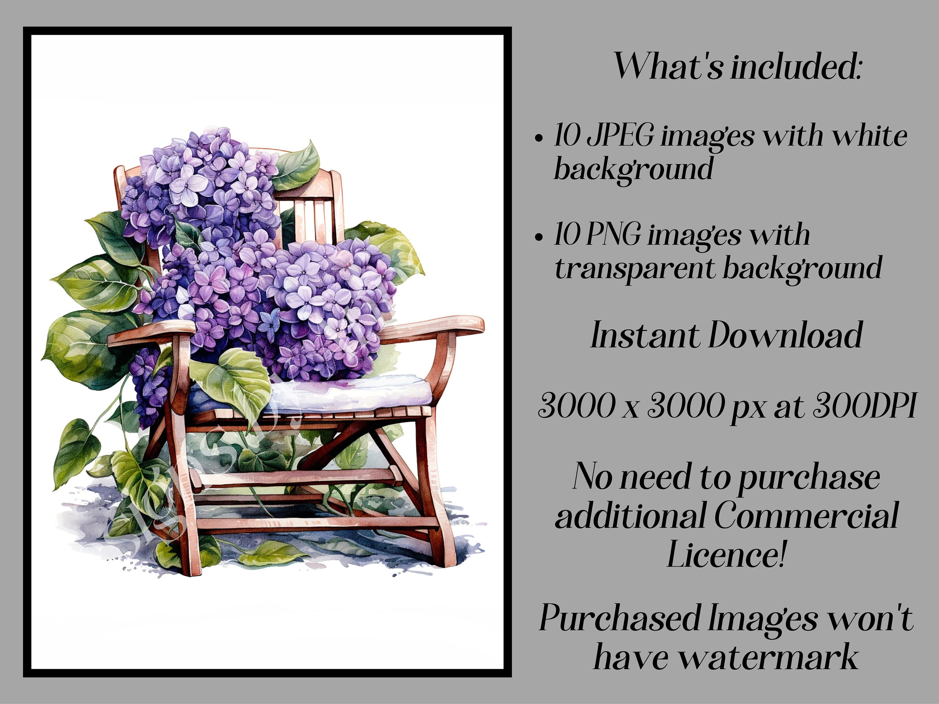 Script Flower Hydrangea Chair Watercolor Chair Clipart: Hydrangea Flowers, Cottagecore Furniture ...