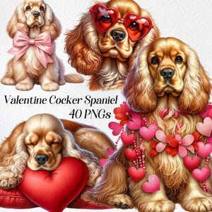 May include: Three Valentine's Day themed Cocker Spaniel dogs. One dog is wearing pink sunglasses and a pink bow. Another dog is wearing a red heart garland. The third dog is sleeping on a red heart pillow.