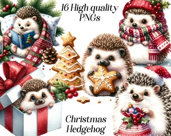 Watercolor Christmas Hedgehog Clipart: 16 PNG Graphics (Digital Download)