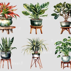 Pu&ograve; includere: Sei diverse piante in vaso su supporti in legno. Le piante includono una bromeliacea, una pianta serpente, una dracaena, un ficus, una monstera e un giglio della pace. Le piante sono tutte in vasi di colori diversi e i supporti sono tutti di forme e dimensioni diverse.