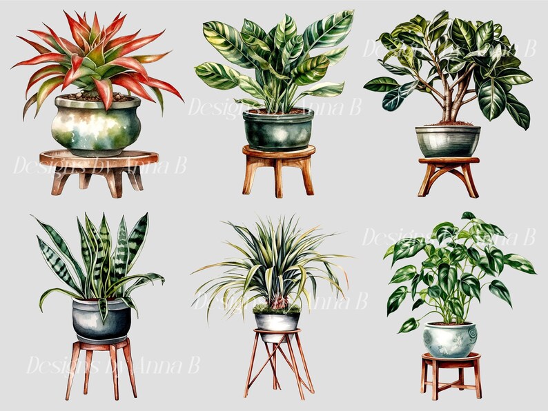 Pu&ograve; includere: Sei diverse piante in vaso su supporti in legno. Le piante includono una bromeliacea, una pianta serpente, una dracaena, un ficus, una monstera e un giglio della pace. Le piante sono tutte in vasi di colori diversi e i supporti sono tutti di forme e dimensioni diverse.