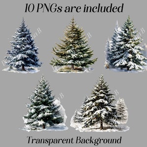Peut inclure: Dix images num&eacute;riques de sapins enneig&eacute;s avec un fond transparent. Les arbres sont de tailles et de formes vari&eacute;es, certains &eacute;tant plus enneig&eacute;s que d'autres.