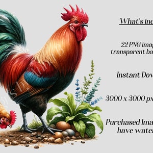 May include: A colorful rooster and hen standing on a bed of rocks and green plants. The rooster has a red comb and wattles, a green and red tail, and a blue and black body. The hen is brown with black markings. The background is a light gray.
