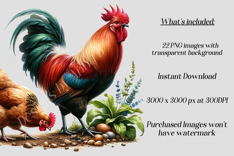 May include: A colorful rooster and hen standing on a bed of rocks and green plants. The rooster has a red comb and wattles, a green and red tail, and a blue and black body. The hen is brown with black markings. The background is a light gray.