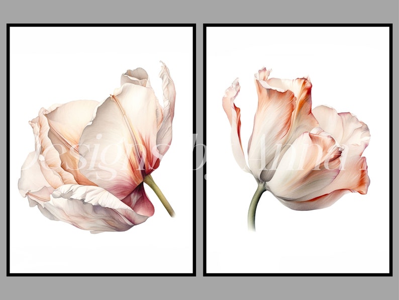 May include: Two watercolor paintings of peach-colored tulips with white edges. The tulips are painted in a realistic style and have a soft, romantic feel.