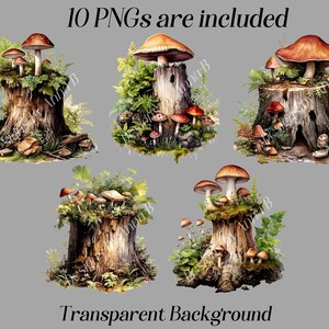 May include: Ten digital images of mushroom clusters growing on tree stumps. The mushrooms are brown and white with red accents. The tree stumps are brown and have green moss and foliage growing on them. The background is transparent.