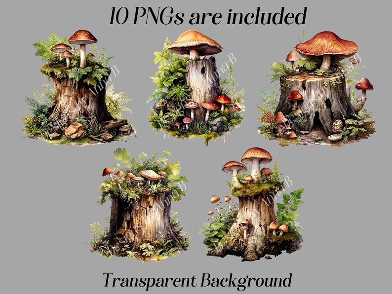 May include: Ten digital images of mushroom clusters growing on tree stumps. The mushrooms are brown and white with red accents. The tree stumps are brown and have green moss and foliage growing on them. The background is transparent.