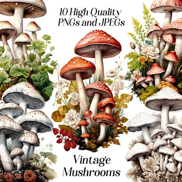 Watercolor vintage mushrooms clipart, 10 high quality JPEG and PNG files, forest plants, cottage core, printables