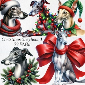 Christmas Greyhound clipart, greyhound-illustraties, png, aquarel feestelijke hond illustratie, afdrukbaar, digitale download, commercieel