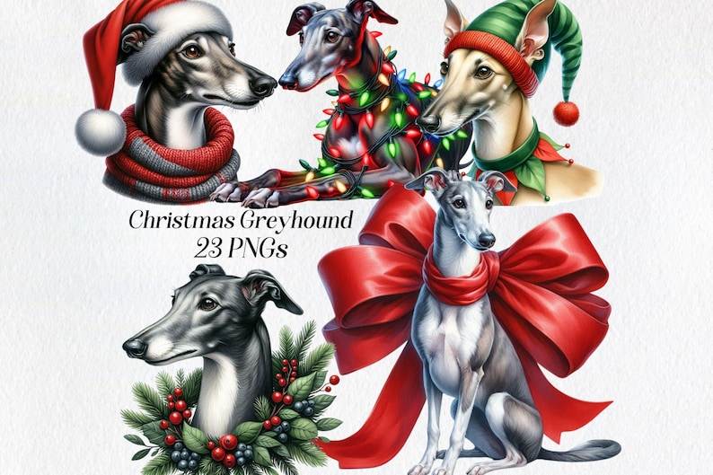 May include: Four digital illustrations of greyhounds wearing festive Christmas attire. One greyhound wears a Santa hat and scarf, another is adorned with Christmas lights, a third wears a green elf hat, and the fourth is wearing a red bow. The text "Christmas Greyhound 23 PNGs" is displayed below the images.