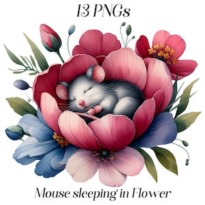 Aquarel muis clipart, schattige slaperige muis, baby dieren, bloemen dieren, bloemen, illustratie, png, illustraties, illustratie, digitaal
