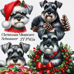 Kerst dwergschnauzer clipart, aquarel schnauzer illustraties, png, feestelijke hond illustratie, wintervakantie, xmas graphics, digitaal