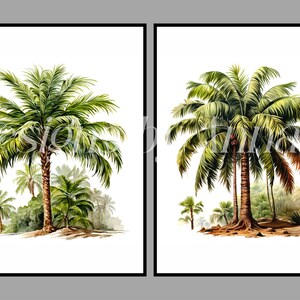 May include: Two watercolor paintings of palm trees. The first painting shows a single palm tree with other smaller trees and foliage in the background. The second painting shows a group of three palm trees with foliage in the background.
