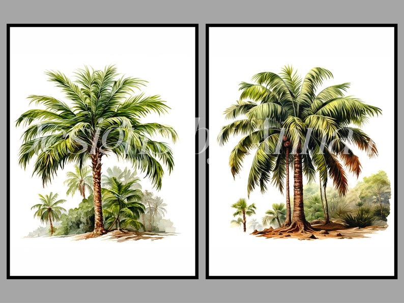 May include: Two watercolor paintings of palm trees. The first painting shows a single palm tree with other smaller trees and foliage in the background. The second painting shows a group of three palm trees with foliage in the background.
