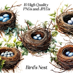 Clipart nid d'oiseau, oeufs dans le nid, clipart printemps, illustration de la nature, rustique, faune, téléchargement numérique, aquarelle, usage commercial