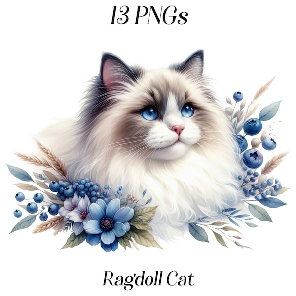 Watercolor Ragdoll Cat clipart, 13 PNG files, pet clipart, pedigree cat, animals, fluffy cat with flowers, floral, printable graphics