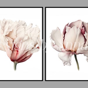 May include: Two white and pink flowers with red accents, painted in a realistic style. The flowers are on a white background.