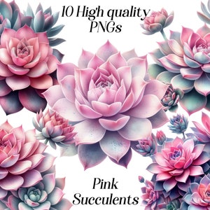 Acuarela Rosa Suculentas clipart, 10 archivos PNG de alta calidad, plantas rosas, cactus, vegetación, botánico, tropical, imprimibles