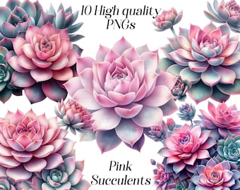 Watercolor Pink Succulents Clipart: 10 PNG Botanical Printables (Digital Download)